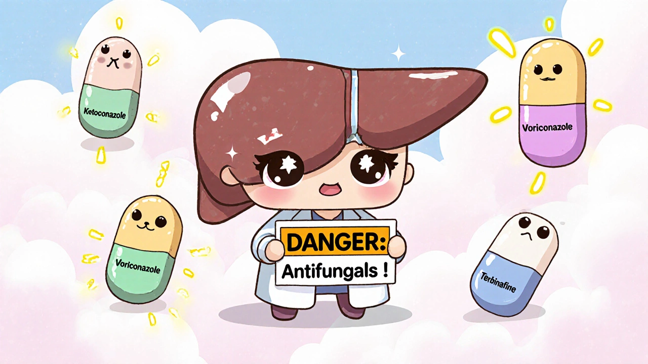 Antifungals: Liver Safety and Drug Interaction Risks You Can't Ignore